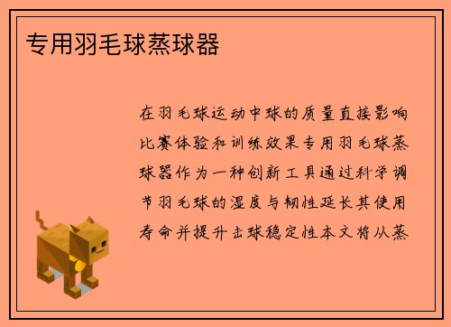 专用羽毛球蒸球器