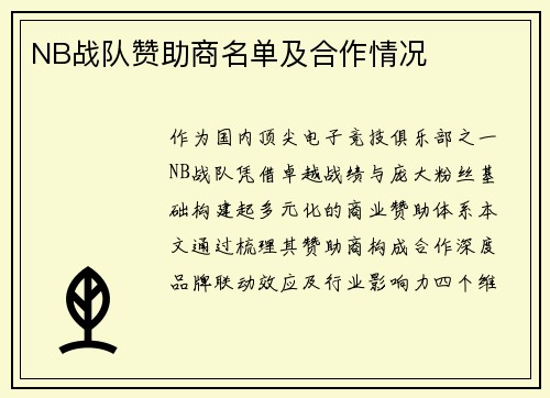 NB战队赞助商名单及合作情况